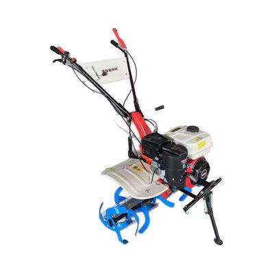 Mua Đường thẳng xoay kéo Máy trồng cầm tay 171F Máy gia tốc xăng Máy kéo tay xoay xoay online manufacture