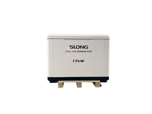 15kW 17KW 20KW 다중 연료 침묵 발전기 가스/LPG/가솔린 50Hz/60Hz CE/EPA 인증